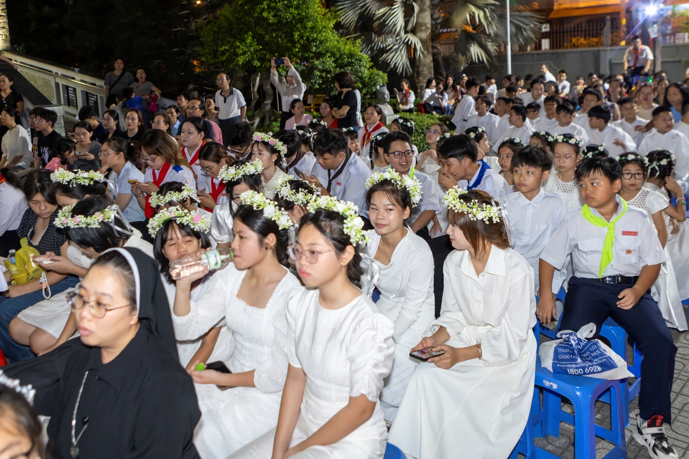 Phu-Tho-dang-hoa (1)