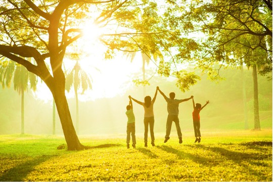 Thiên nhiên muốn “Nói” với con người