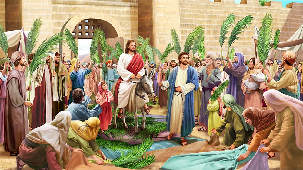 Lễ Lá trong mùa đại dịch: Nhành lá cọ chính là các việc lành