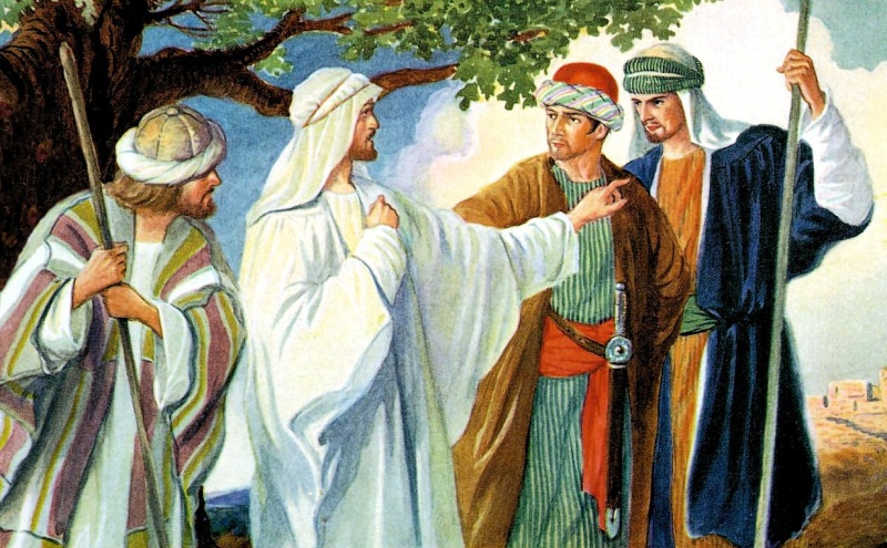 Học hỏi Phúc âm: Chúa nhật 14 Thường niên năm C