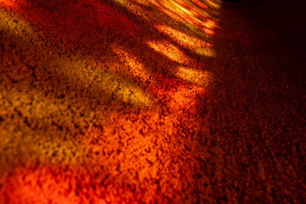 Suy niệm Chúa nhật I Mùa Vọng | Taizé 2025