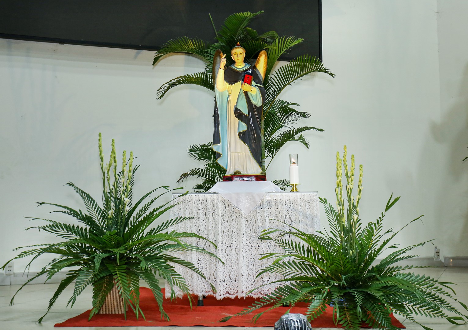 Mừng kính thánh Vinh Sơn Ferrer - Bổn mạng giáo họ, giáo xứ Hòa Hưng