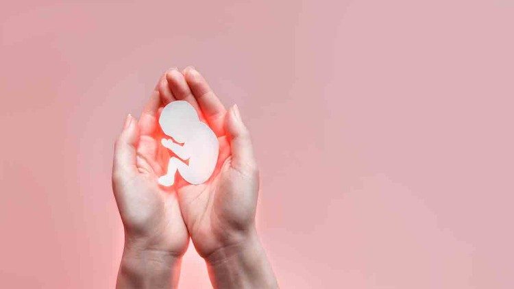 Các Giám mục Liên minh châu Âu khẳng định: "Không có cái gọi là quyền phá thai"