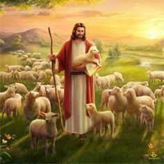 Bài 122: Nghe - biết - đi theo giữa mục tử và đoàn chiên I Dưới ánh sáng Lời Chúa