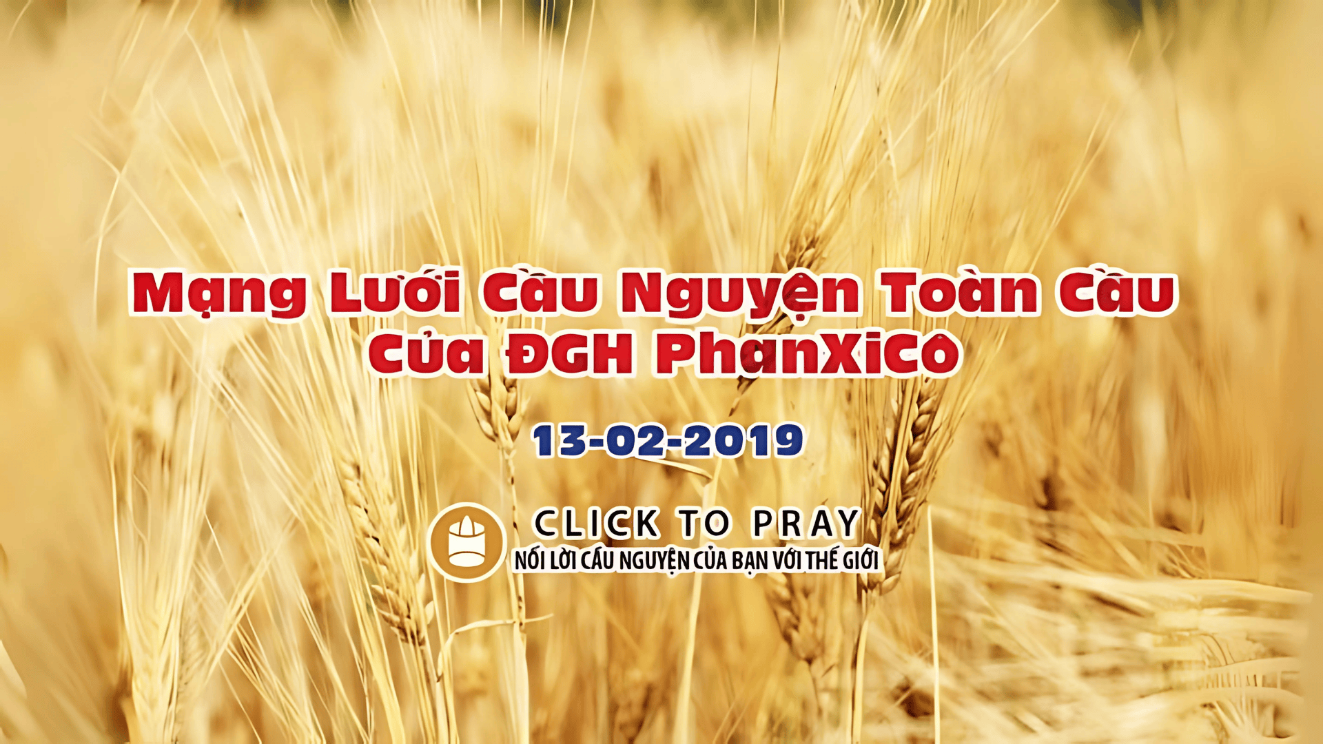 Tông Đồ Cầu Nguyện: Ngày 13/02/2019