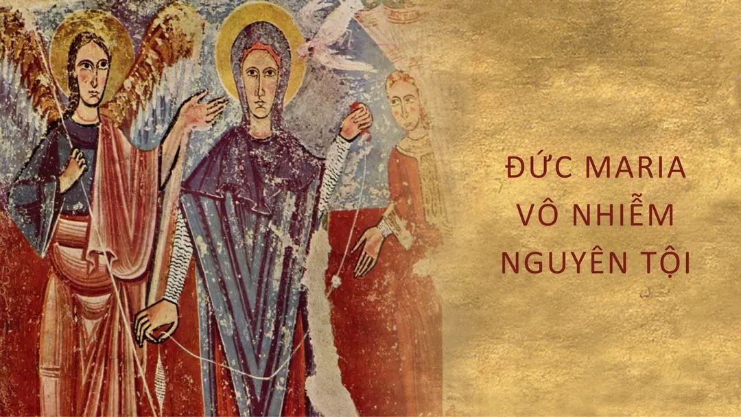 Ngày 08 tháng 12: Lễ Đức Maria Vô nhiễm Nguyên tội