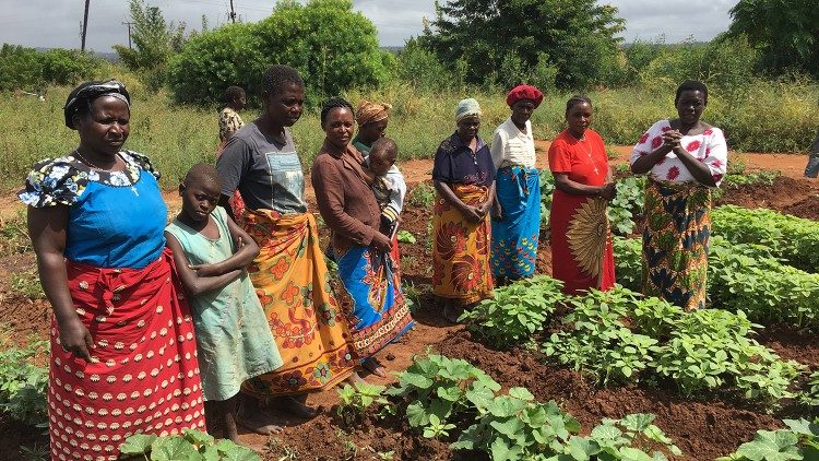 Thông điệp Laudato si' đã thay đổi một bộ lạc ở Kenya