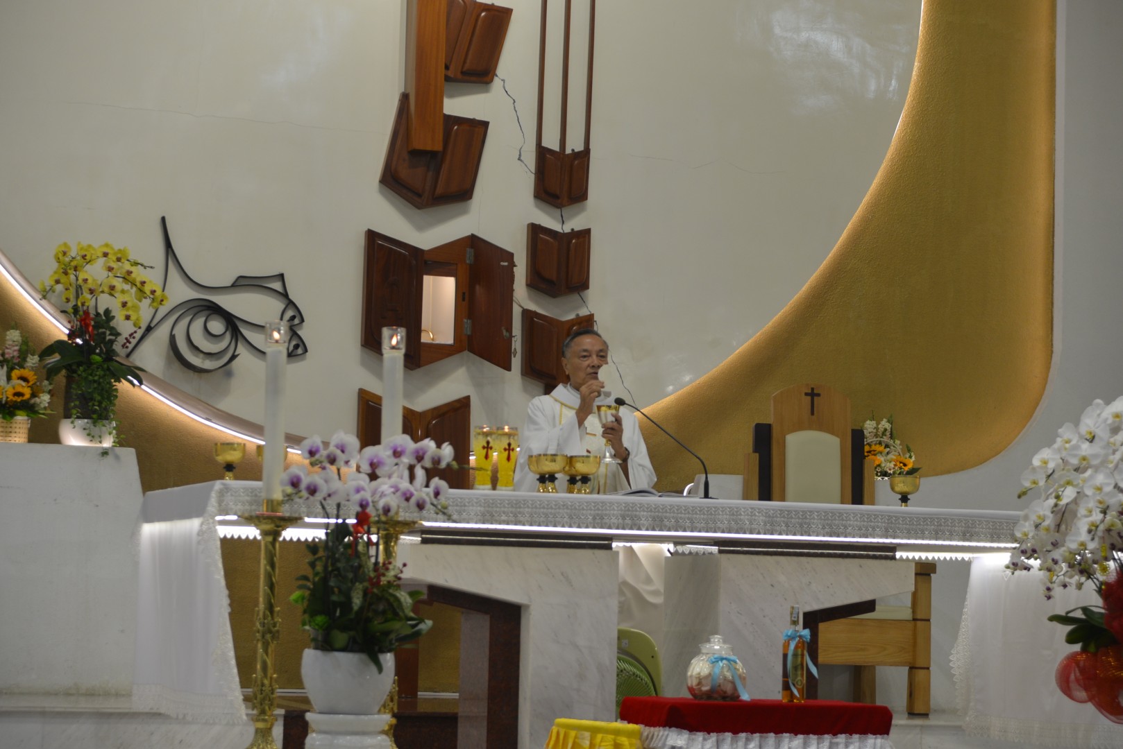 Giáo xứ Tân Việt: Bổn mạng Giáo họ Lộ Đức - 2026