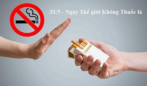 Ngày Thế giới không thuốc lá 31.5: Hãy bắt đầu từ giáo xứ để bảo vệ môi trường sống là của Thiên Chúa