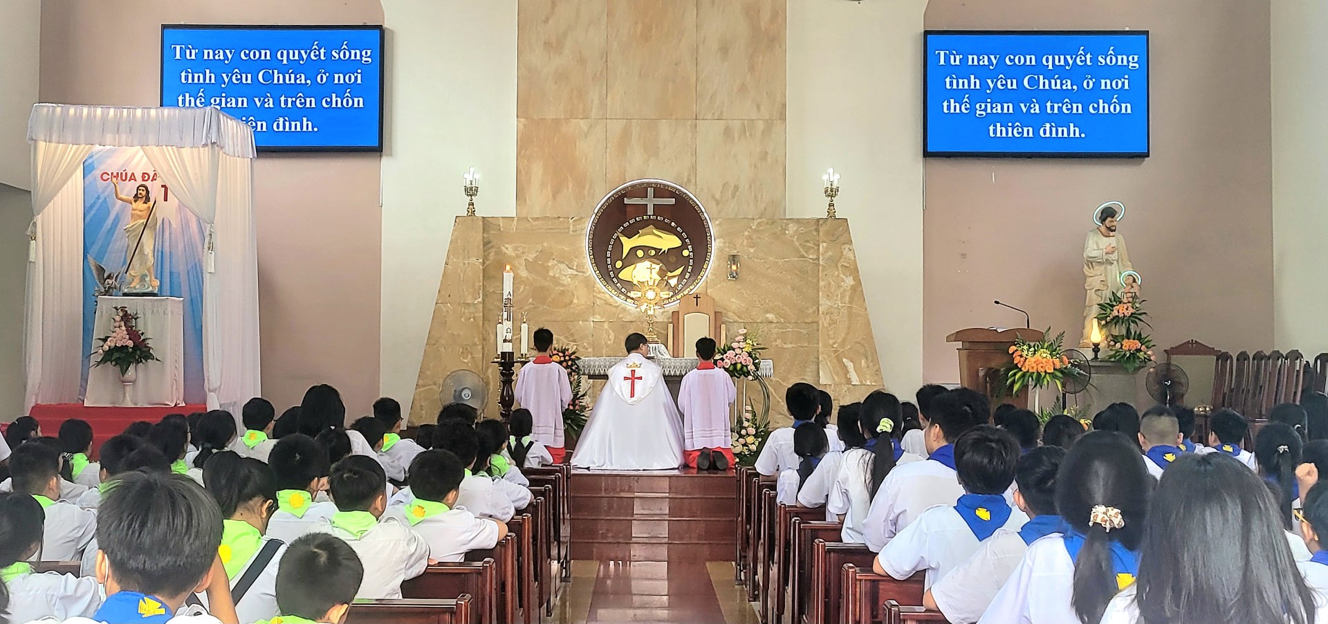 Giáo xứ Phú Hòa chầu Thánh Thể thay cho Giáo phận