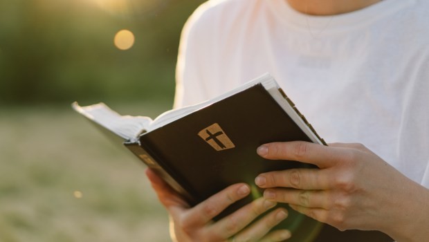 Quyển sách “bán chạy” nhất năm 2025? Kinh Thánh