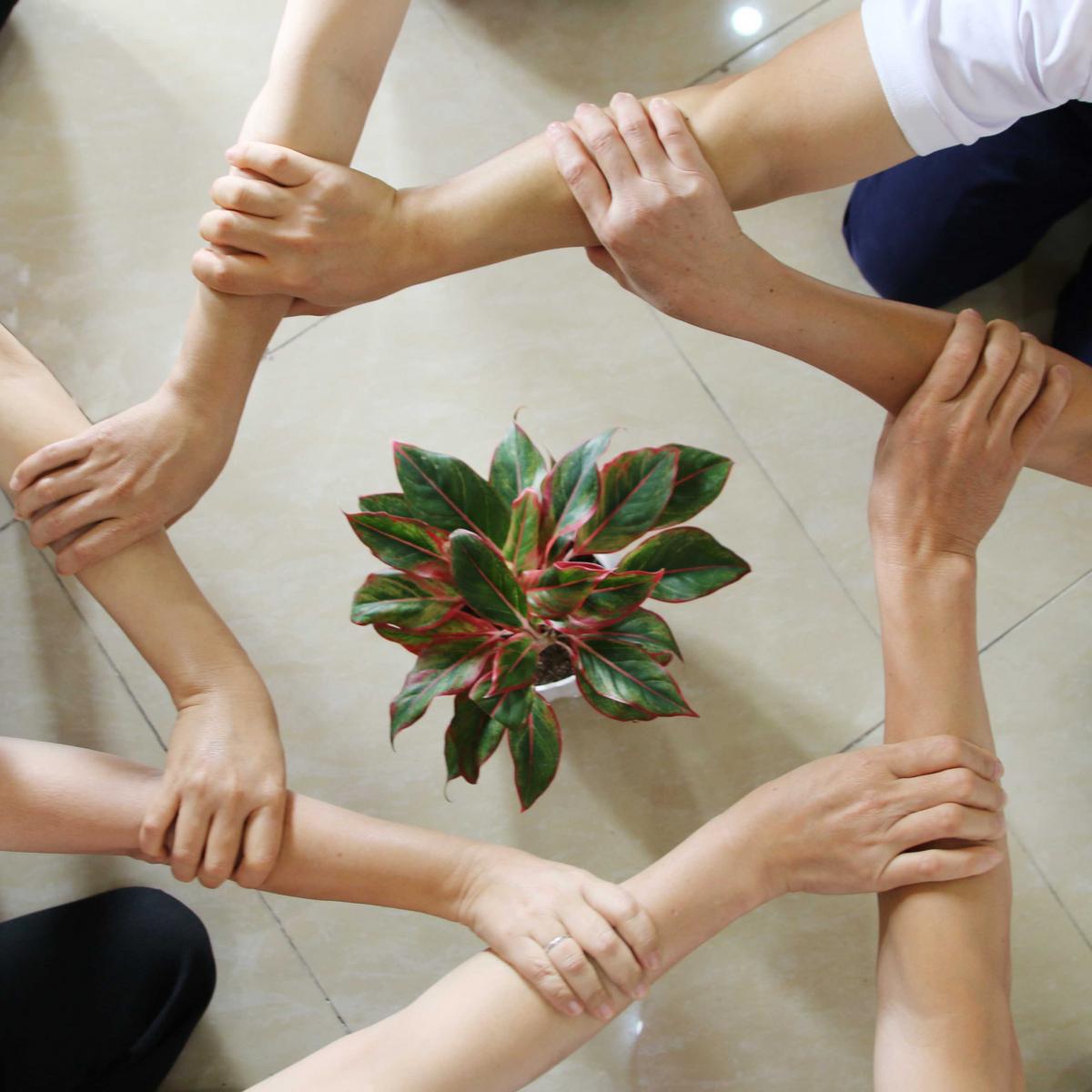 Caritas Việt Nam: Thánh lễ cầu nguyện nhân dịp phát động chiến dịch ‘Together we – Chúng ta cùng nhau’