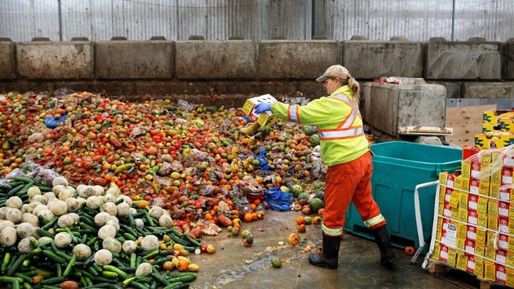 Đức Thánh Cha: Thực phẩm bị lãng phí có thể nuôi sống tất cả những người đói