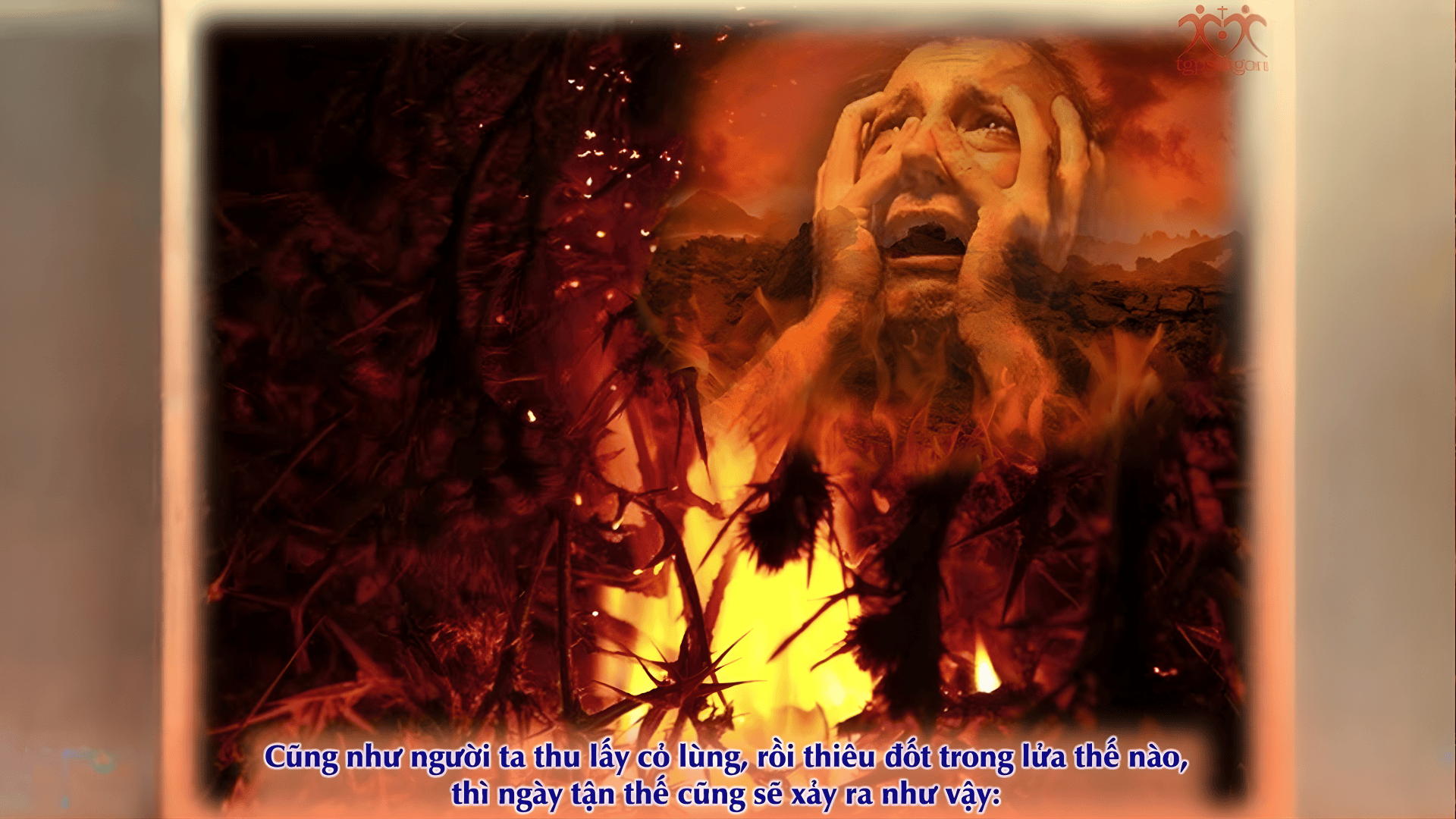 Bài giảng Chúa nhật: Chúa nhật 16 Thường niên năm A