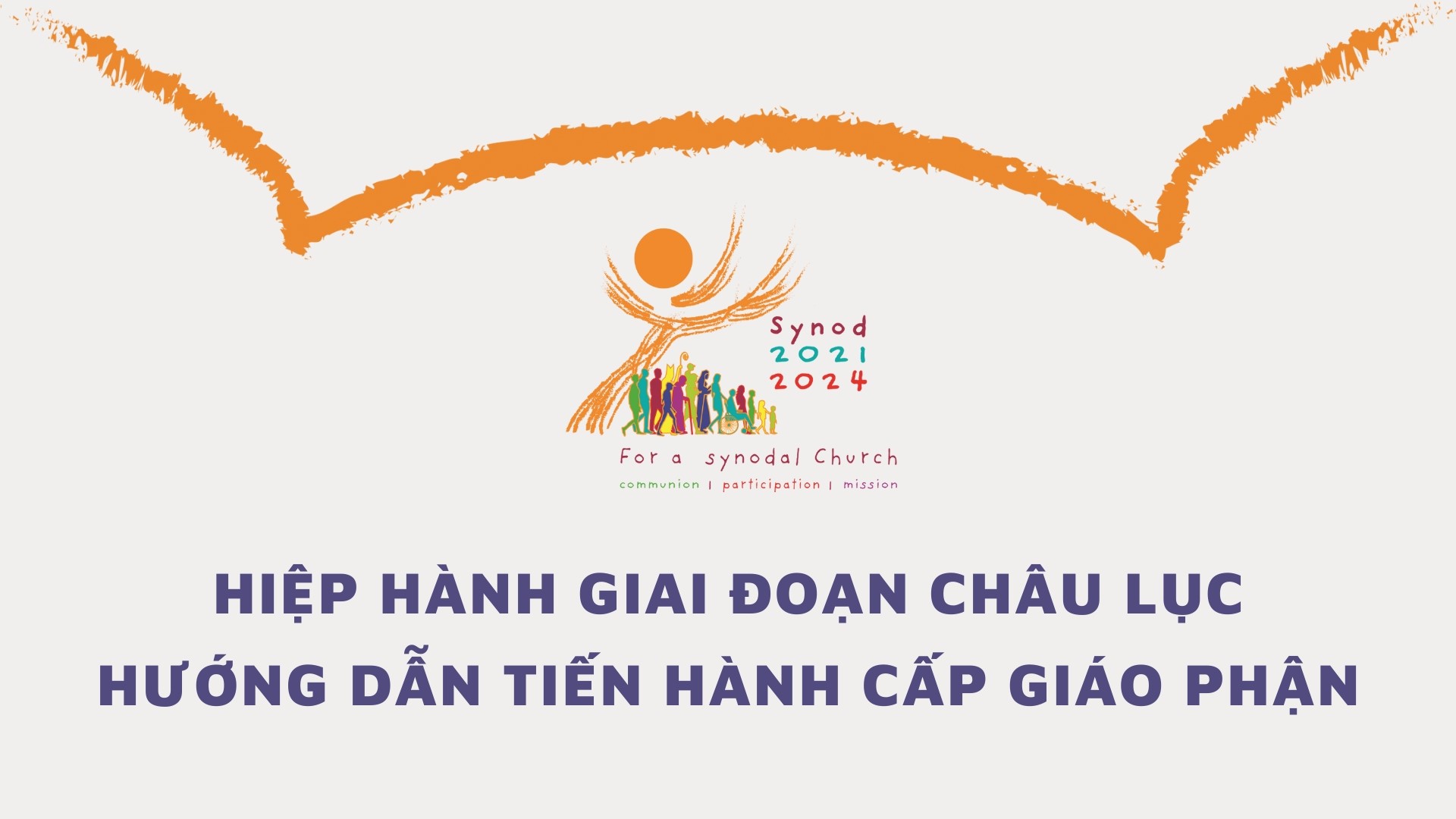 Hiệp hành Giai đoạn Châu lục - Hướng dẫn tiến hành cấp giáo phận