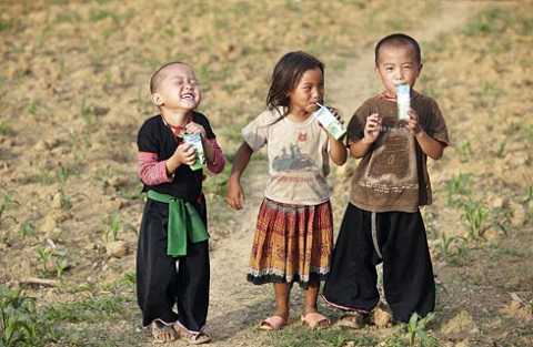 Hộp sữa dở dang