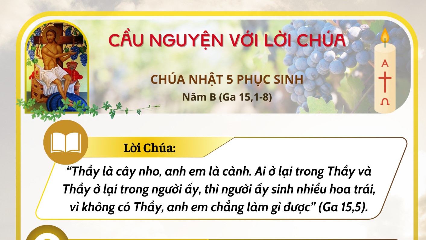 Cầu nguyện với Lời Chúa: Chúa Nhật tuần 5 Phục Sinh