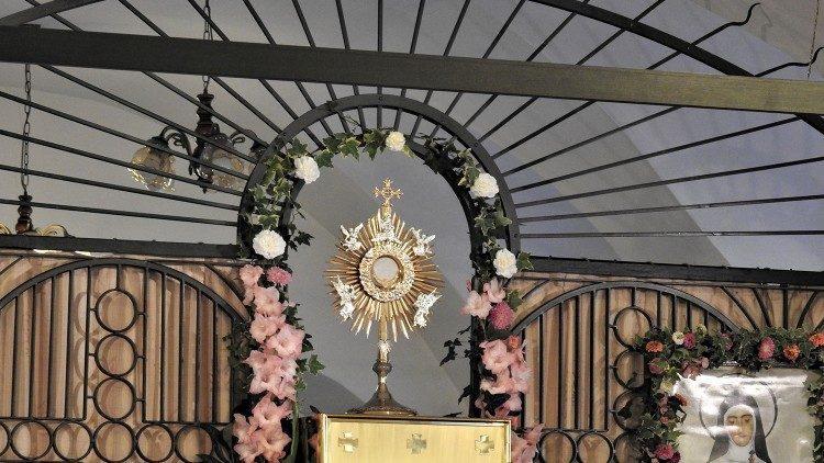 ﻿Chương trình Chầu Thánh Thể suốt ngày đêm tại một số Giáo xứ ở Mỹ