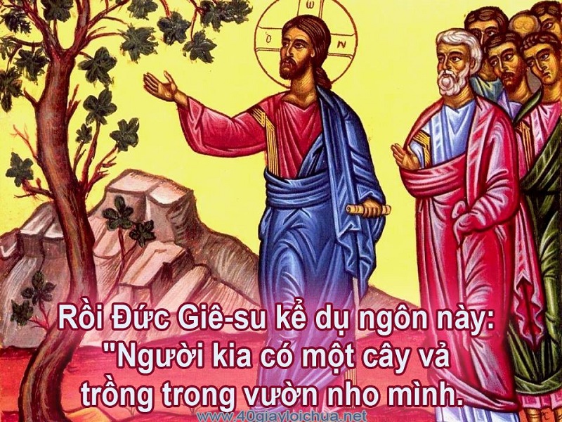 Chúa nhật 3 mùa Chay năm C (+video)