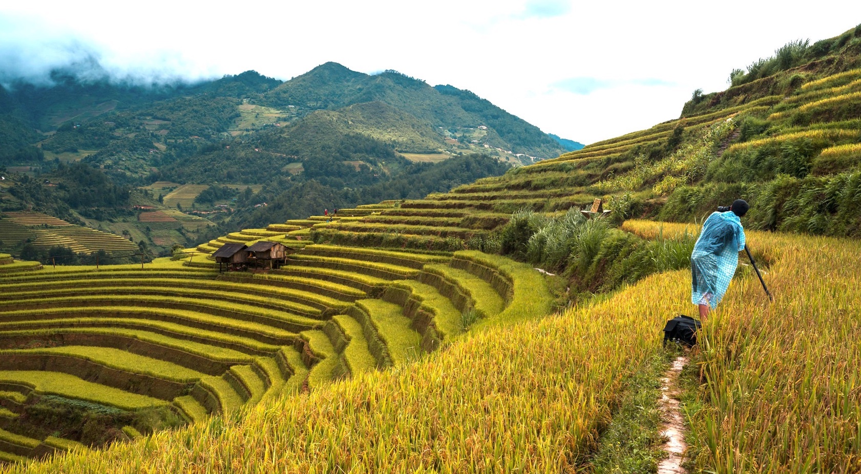 Kỷ niệm 10 năm Thông điệp Laudato Si’ – Lời mời gọi bảo vệ ngôi nhà chung