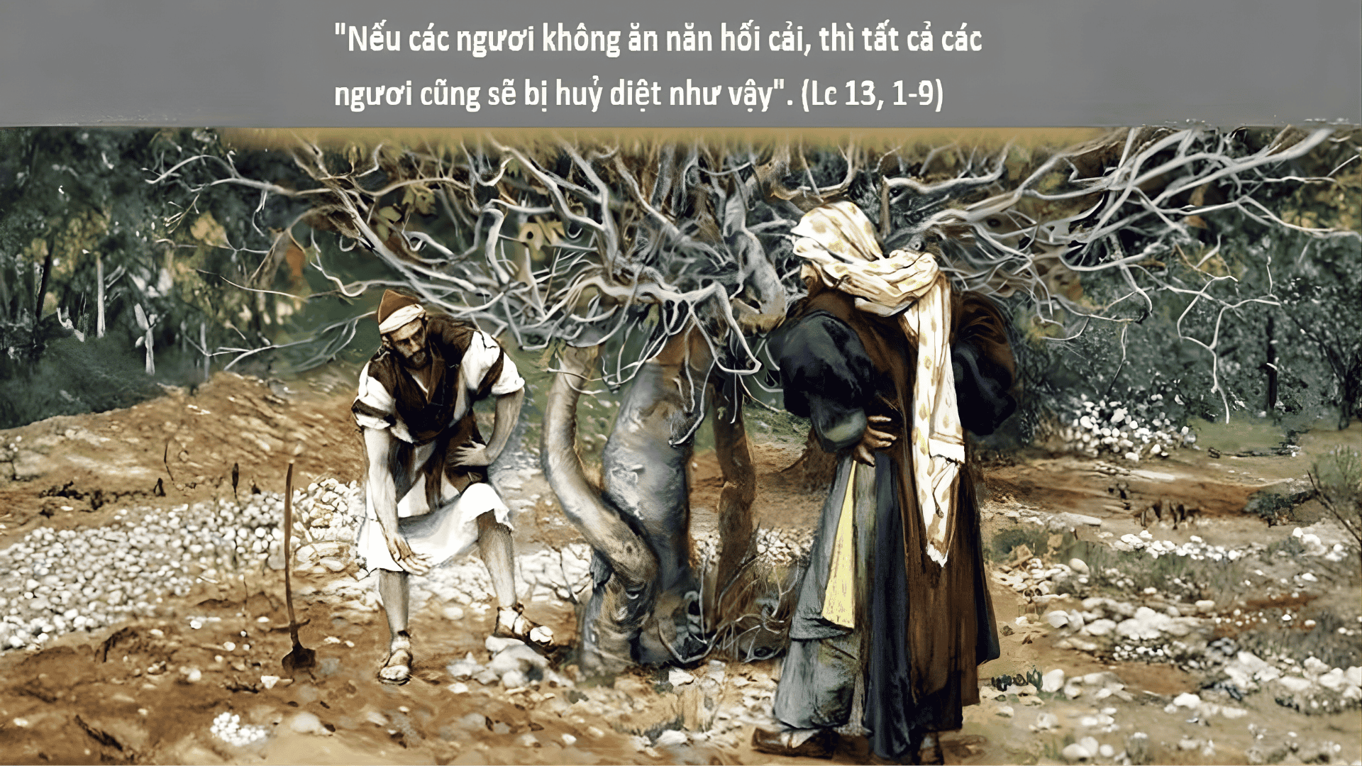 Bài giảng Chúa nhật: Chúa nhật 3 Mùa Chay Năm C