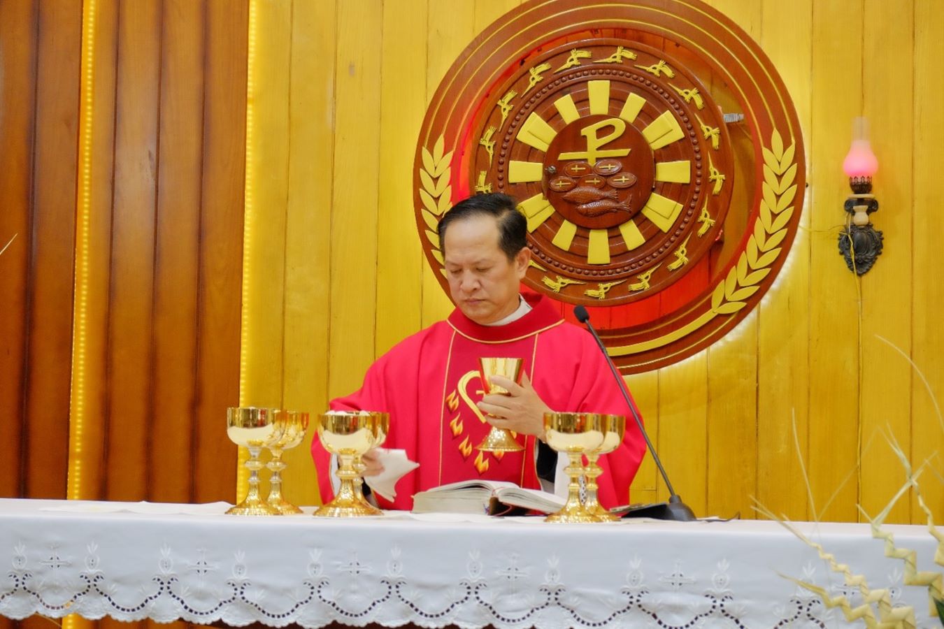 Giáo xứ Gò Mây: Chúa Nhật Lễ Lá 24-3-2024