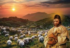 Căn tính của một Mục Tử Nhân Lành