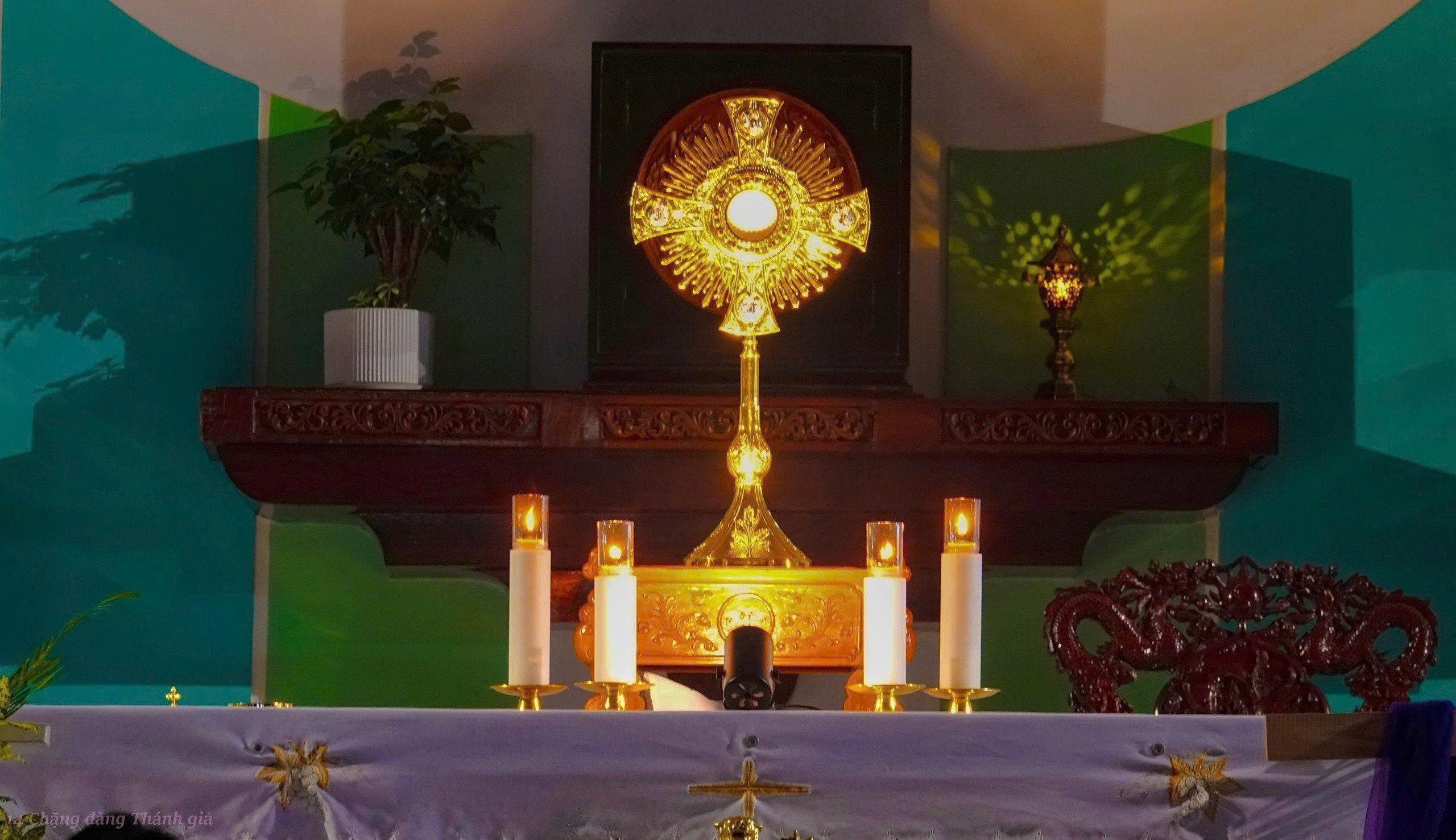 Giới trẻ giáo xứ Nhân Hòa: Tìm về bên Chúa