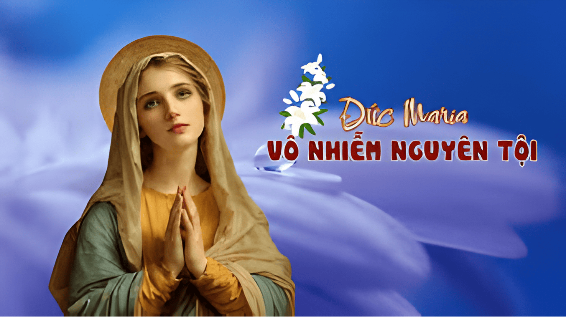 Ngày 8/12: Đức Maria Vô Nhiễm Nguyên Tội