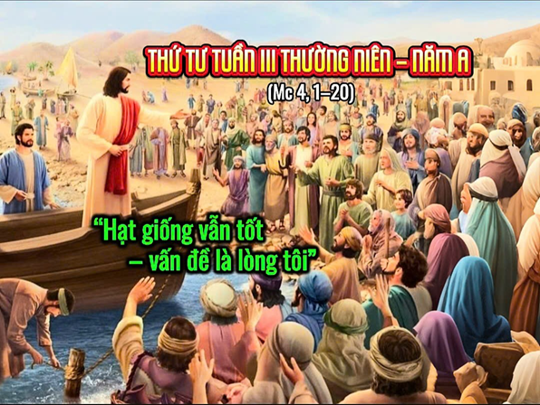 Thứ Tư tuần 3 Thường Niên - Năm A: “Hạt giống vẫn tốt - vấn đề là mảnh đất lòng tôi”