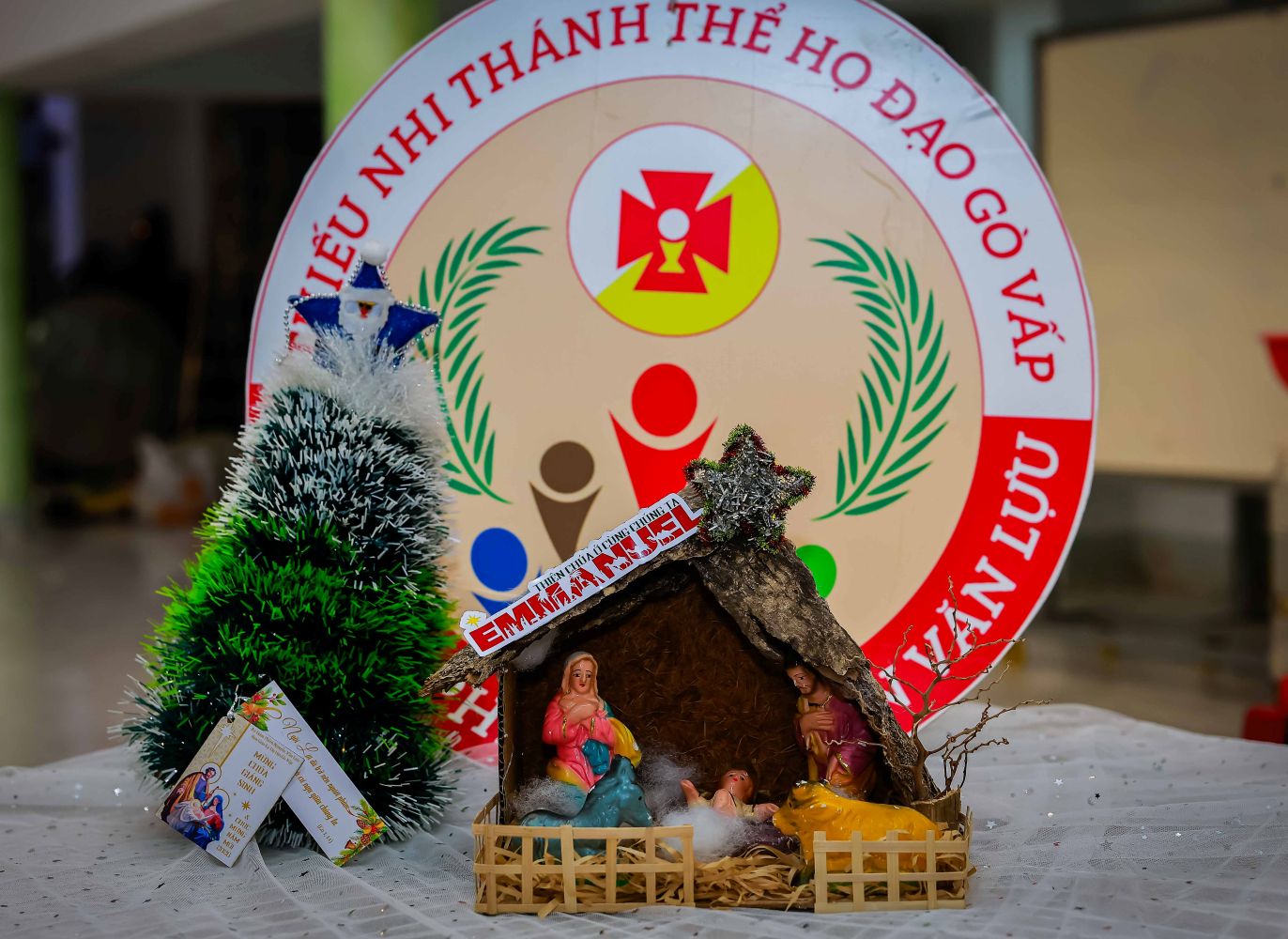 Đoàn Thiếu Nhi Thánh Thể Giáo xứ Gò Vấp mang Ánh Sáng Giáng Sinh đến mọi tâm hồn