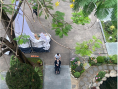 Tạ ơn Chúa vì một Người Cha chung giản dị