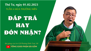 Đáp trả hay đón nhận? - Lm GB Phương Đình Toại, MI | Thứ Tư tuần 4 TN