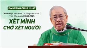 Xét mình chớ xét người - Lm Ignatio Hồ Văn Xuân | CN VIII TN năm C