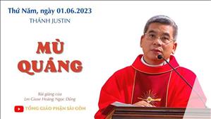 Mù quáng - Lm Giuse Hoàng Ngọc Dũng | Thứ Năm tuần 8 TN
