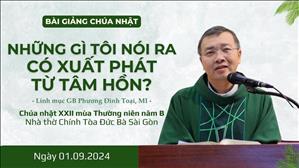 Những gì tôi nói ra có xuất phát từ tâm hồn? - Lm GB Phương Đình Toại, MI | CN XXII TN năm B