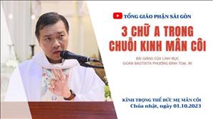 3 chữ A trong chuỗi kinh Mân Côi - Lm GB Phương Đình Toại, MI | Kinh trọng thể Đức Mẹ Mân Côi