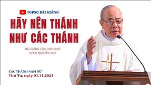 Hãy nên thánh như các thánh - Lm Rôcô Nguyễn Duy | Các thánh nam nữ
