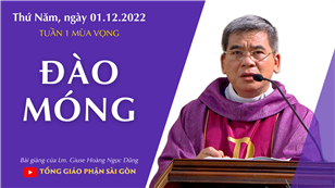 Đào móng - Lm. Giuse Hoàng Ngọc Dũng | Thứ Năm tuần 1 mùa Vọng