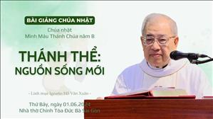 Thánh Thể: nguồn sống mới - Lm Ignatio Hồ Văn Xuân | KTT Mình Máu Thánh Chúa năm B