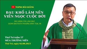 Đau khổ làm nên viên ngọc cuộc đời - Lm GB Phương Đình Toại, MI | Thứ Tư tuần 17 TN