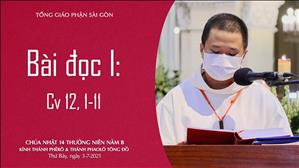 Kính thánh Phêrô & thánh Phaolô Tông đồ - Bài đọc I: Cv 12, 1-11