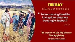 TGP Sài Gòn: Suy niệm Tin mừng ngày 05-9-2020: thứ Bảy tuần 22 mùa Thường niên - ĐTGM Giuse Nguyễn Năng