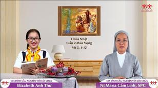 Gia đình cầu nguyện với Lời Chúa: Chúa nhật 2 mùa Vọng năm A (Mt 3, 1-12)