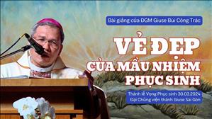 Vẻ đẹp của mầu nhiệm Phục sinh - ĐGM Giuse Bùi Công Trác | Lễ Vọng Phục sinh 2024