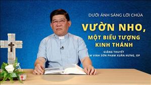 Bài 34: Vườn Nho, Một Biểu Tượng Kinh Thánh | Dưới ánh sáng Lời Chúa