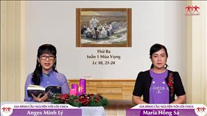 Phúc Thay Kẻ Được Thấy - Thứ Ba tuần 1 mùa Vọng (Lc 10, 21-24)