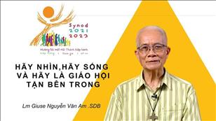 Học hỏi về Thượng Hội đồng Giám mục 2023: Hãy nhìn, hãy sống và hãy là Giáo hội tận bên trong