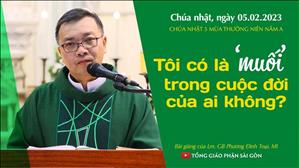 Tôi có là 'muối' cho cuộc đời của ai không? - Lm GB Phương Đình Toại, MI | CN 5 TN năm A
