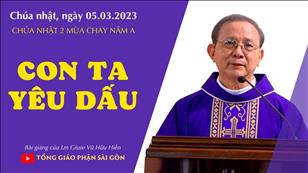 Con Ta yêu dấu - Lm Giuse Vũ Hữu Hiền | CN 2 MC năm A
